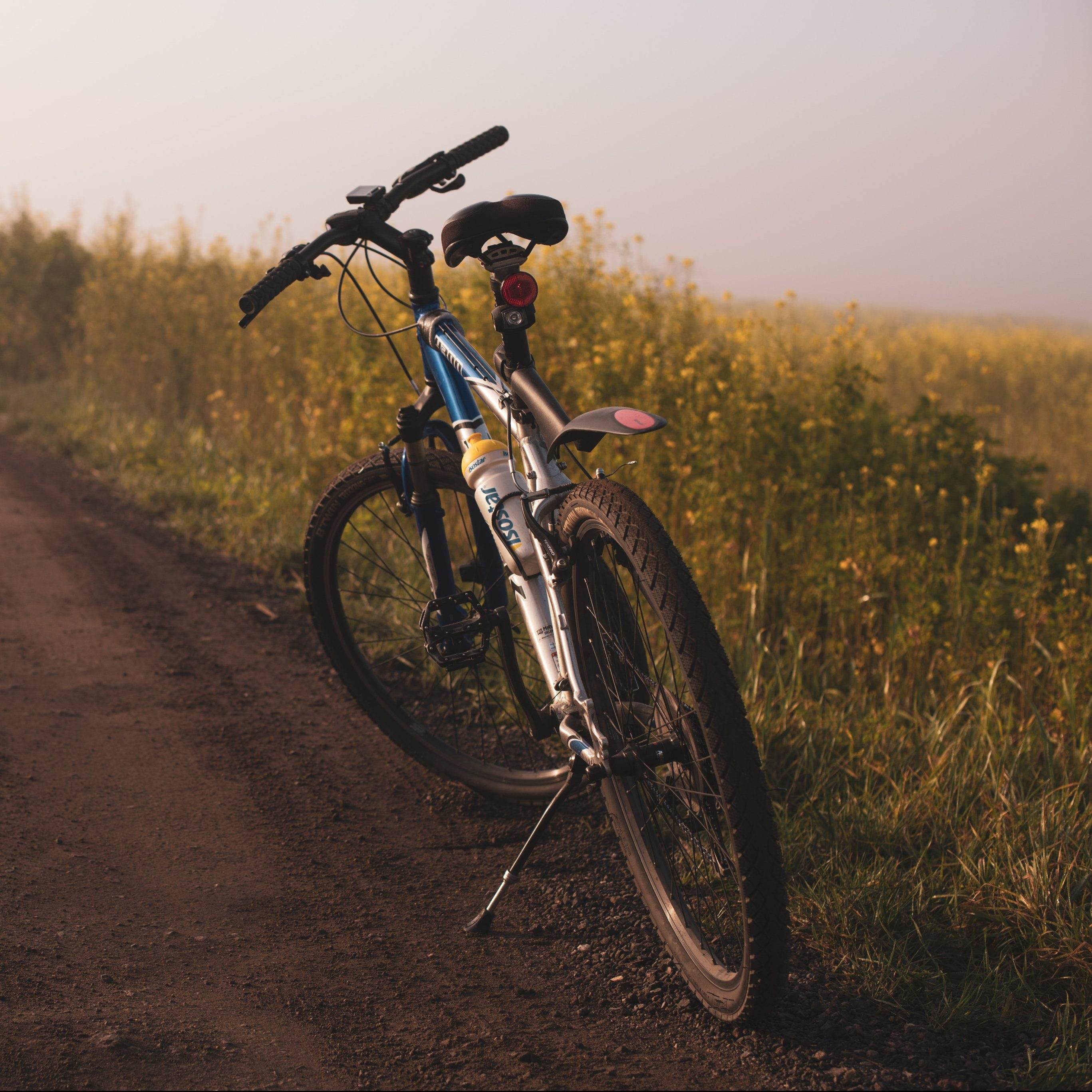 Fahrrad am Straßenrand